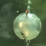 Firecracker exploding under water